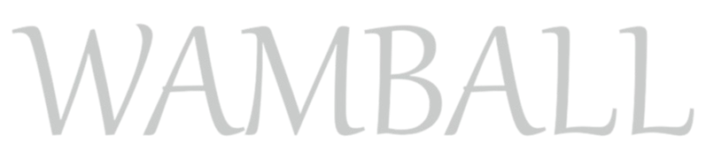 Wamball Group